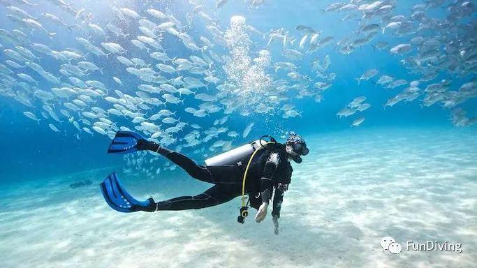 2023旅游水路地图&旅游-减少淡水使用和建立水抗性的概述和行动框架（附下载）